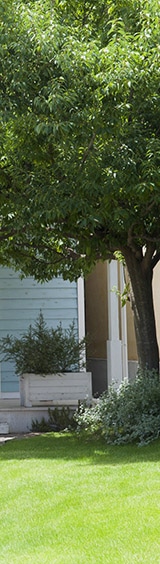 緑に囲まれた塗装したばかりの綺麗な家