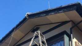 72E86E60-3976-4A55-BF6B-FA1E99C8FA1D