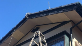 72E86E60-3976-4A55-BF6B-FA1E99C8FA1D